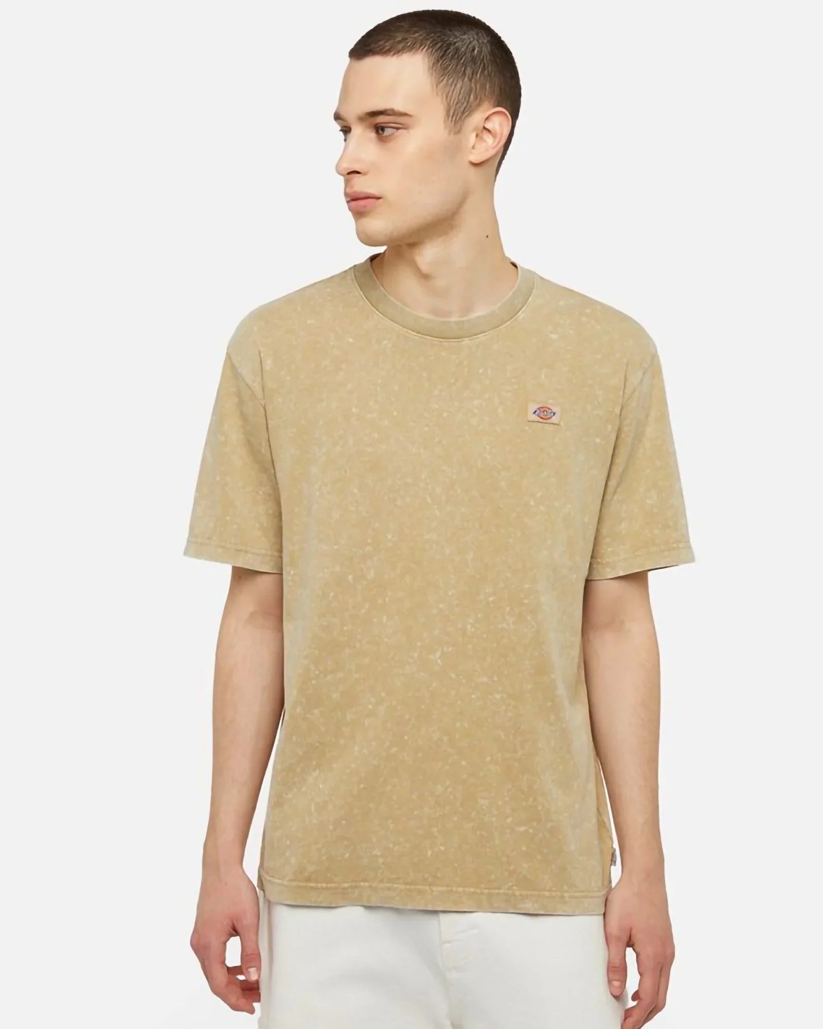 Dickies Newington T-shirt Acid Wash Sand