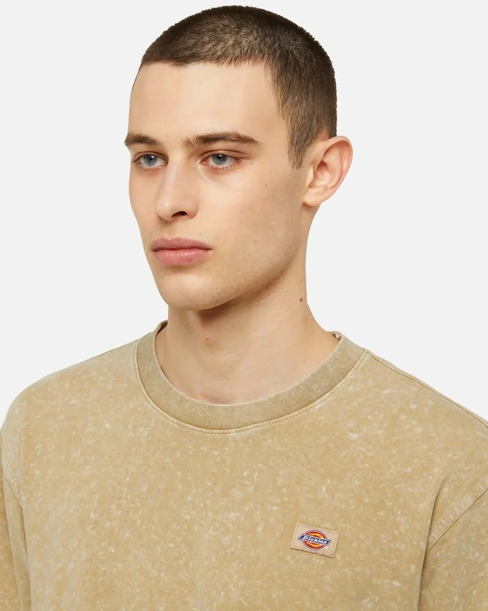 Dickies Newington T-shirt Acid Wash Sand