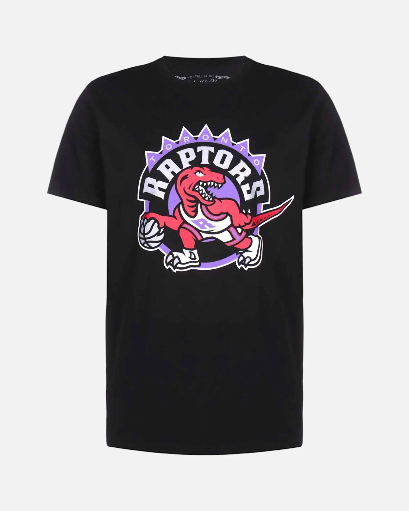 NBA Toronto Raptors Logo Black Official Color Team Astrofat