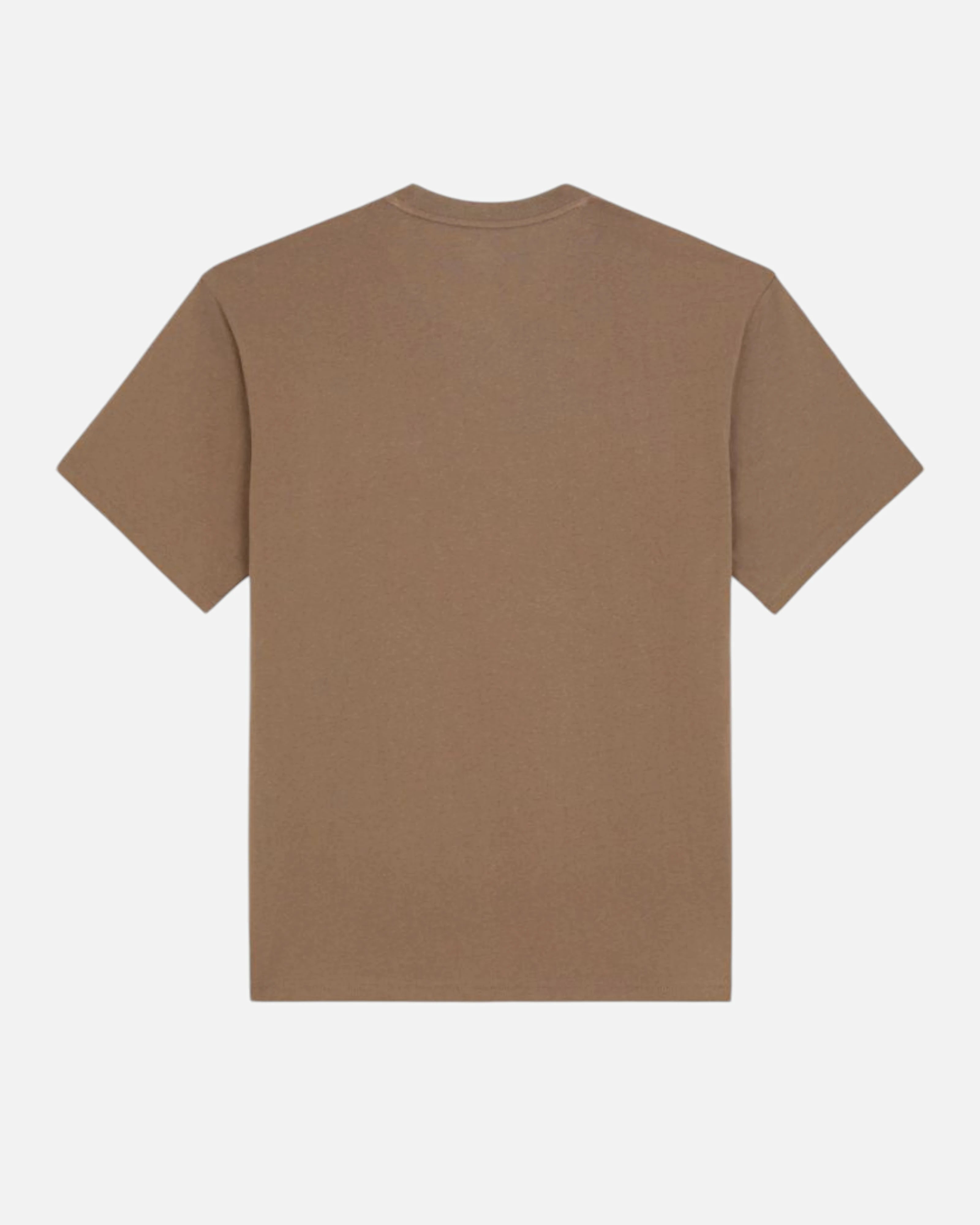 Dickies Unionville SS T-shirt Mushroom