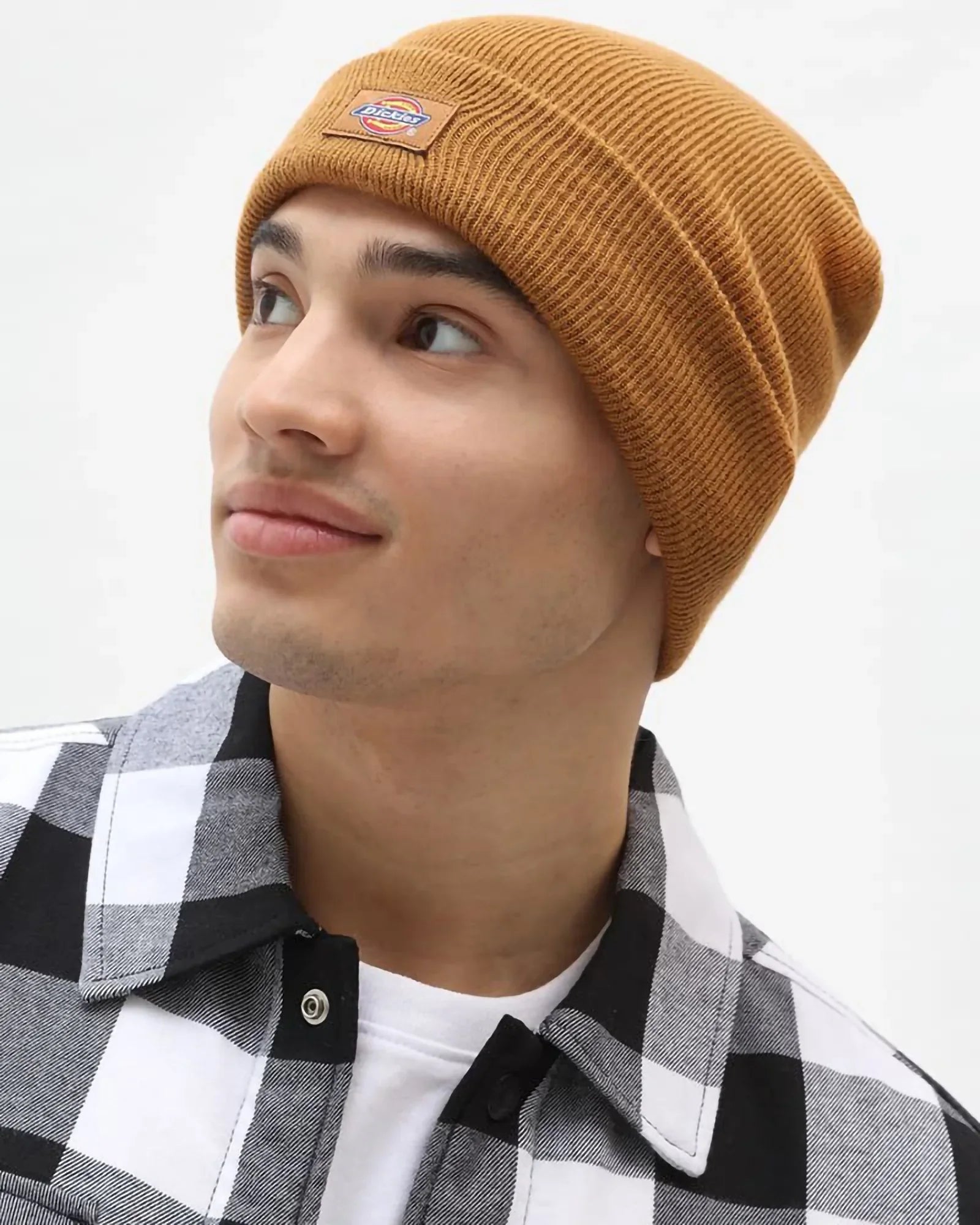 Dickies - Gibsland Beanie Brown Duck