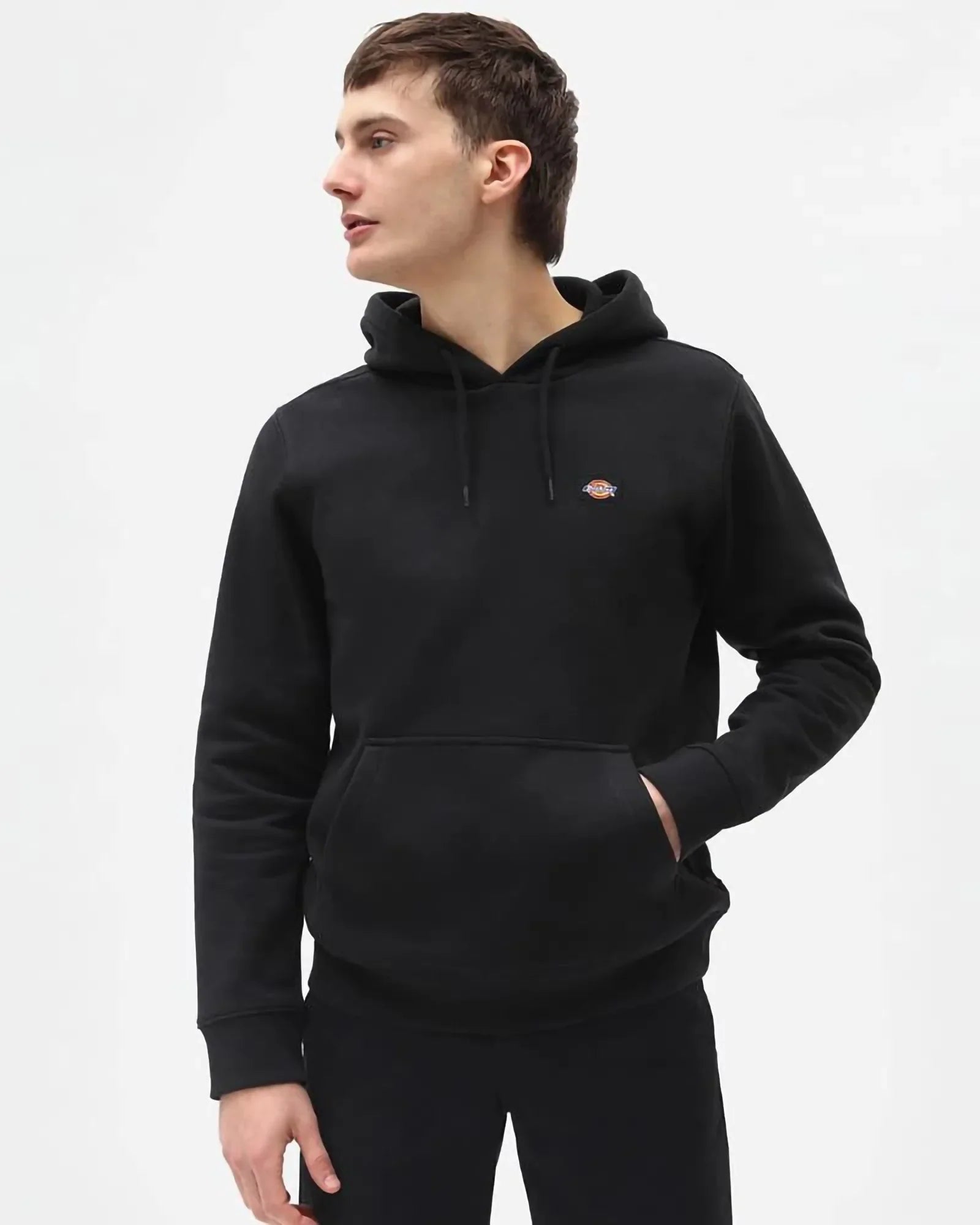 Dickies - Felpa Oakport Hoodie Black