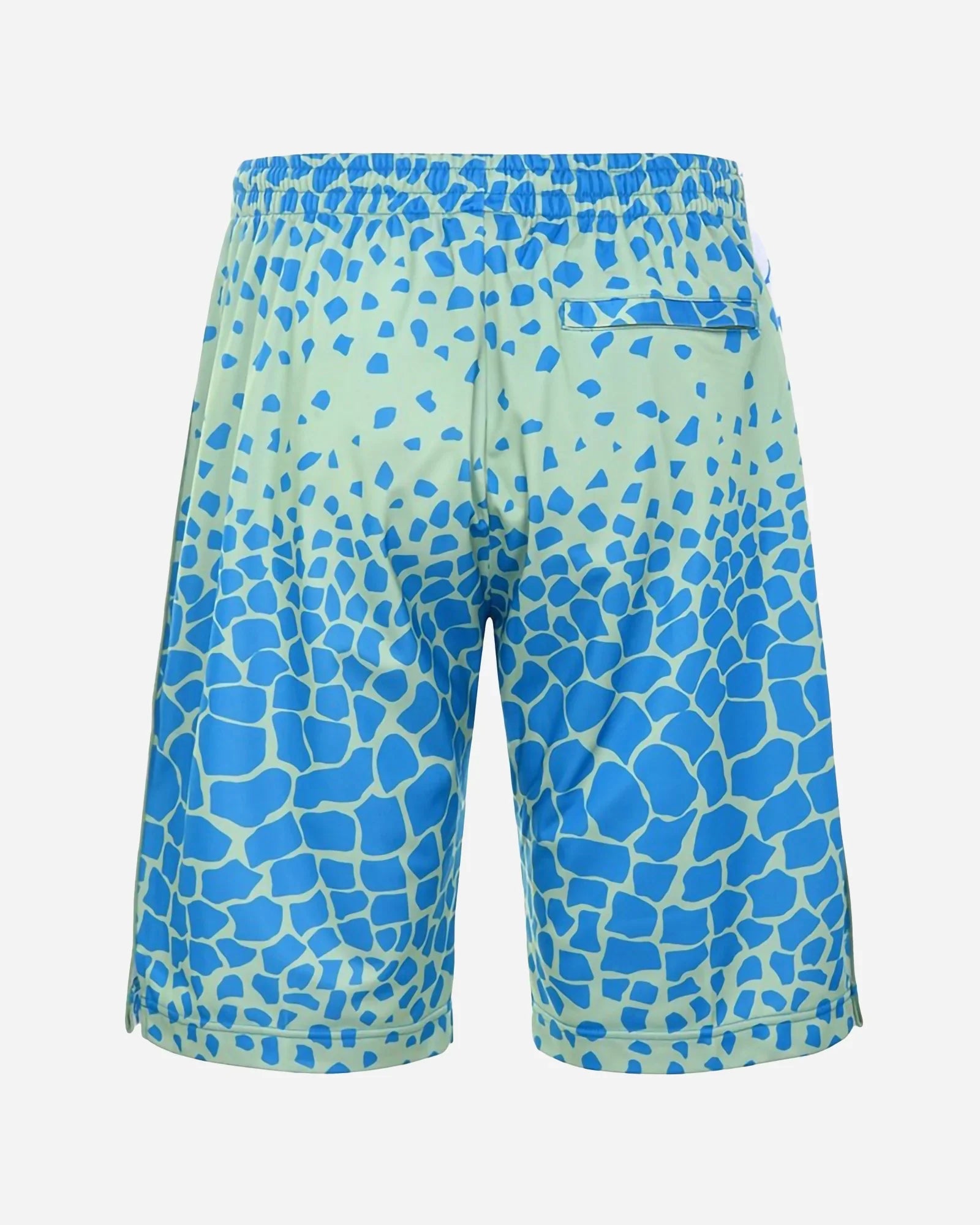 Kappa - 222 Banda Saio Graphik Shorts Green Dusty / Blue Smurf