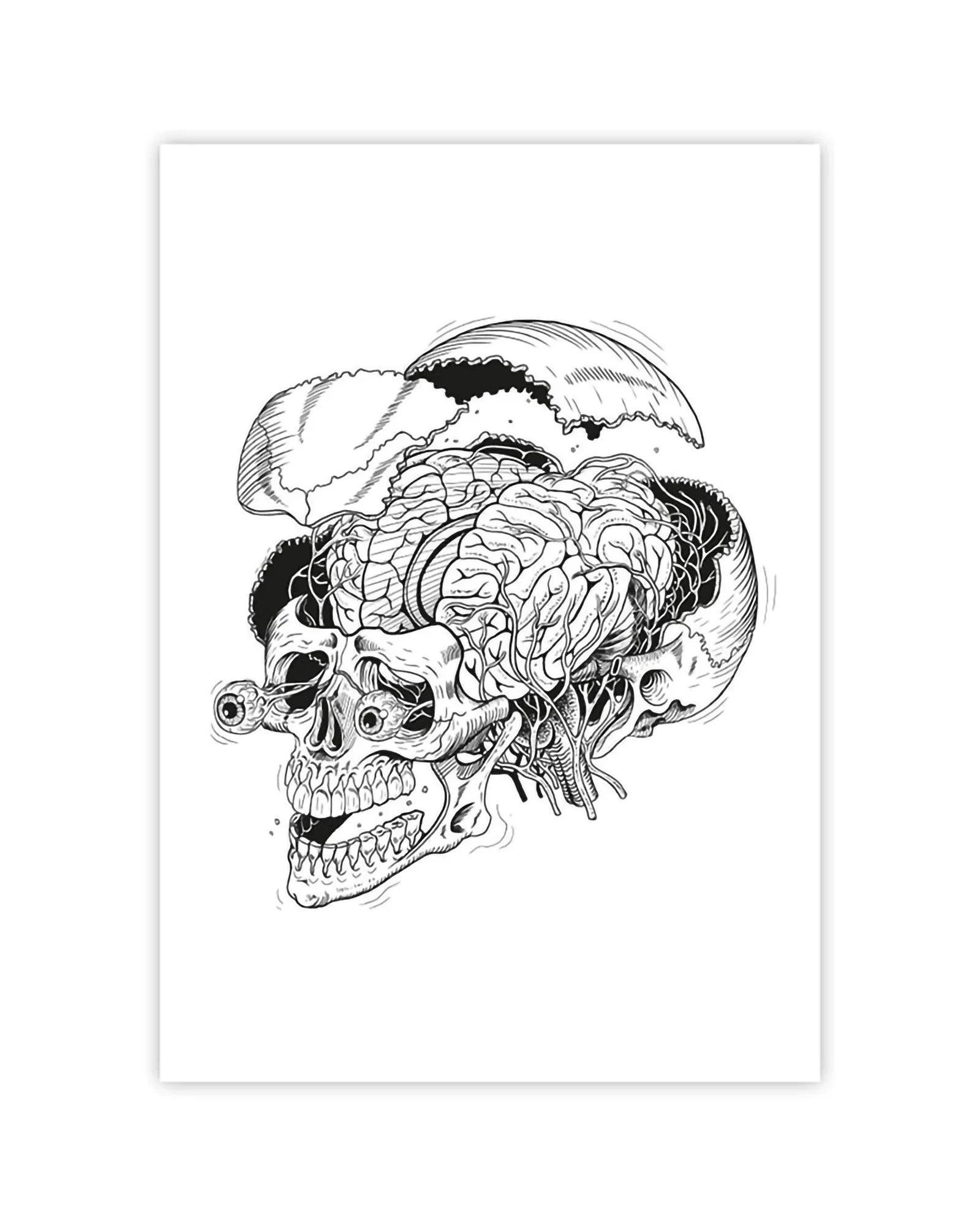 Anatomy Coloring Book - Nychos