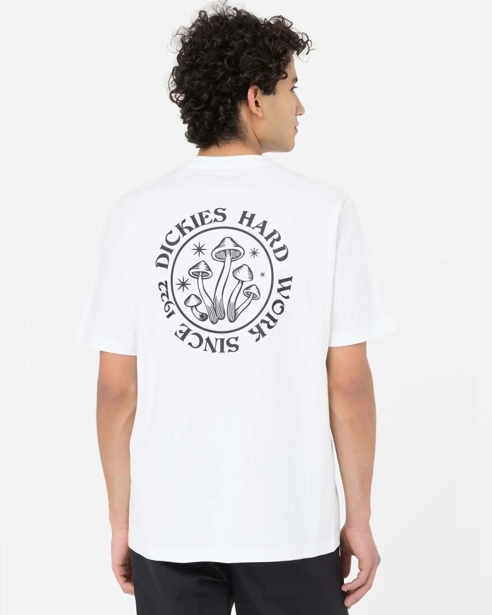 Dickies - Bayside Gardens Tshirt White