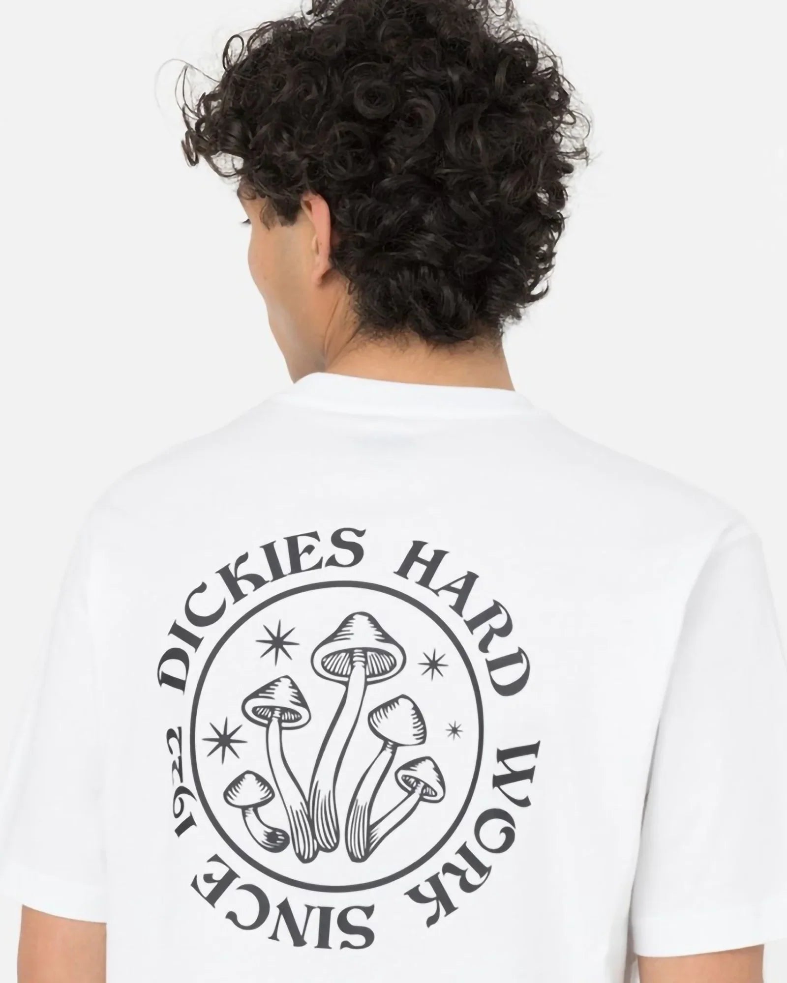 Dickies - Bayside Gardens Tshirt White