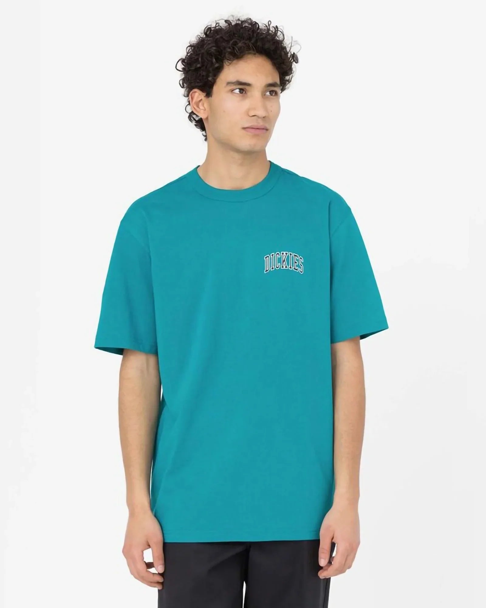 Dickies - Aitkin Chest Print Tee Deep Lake