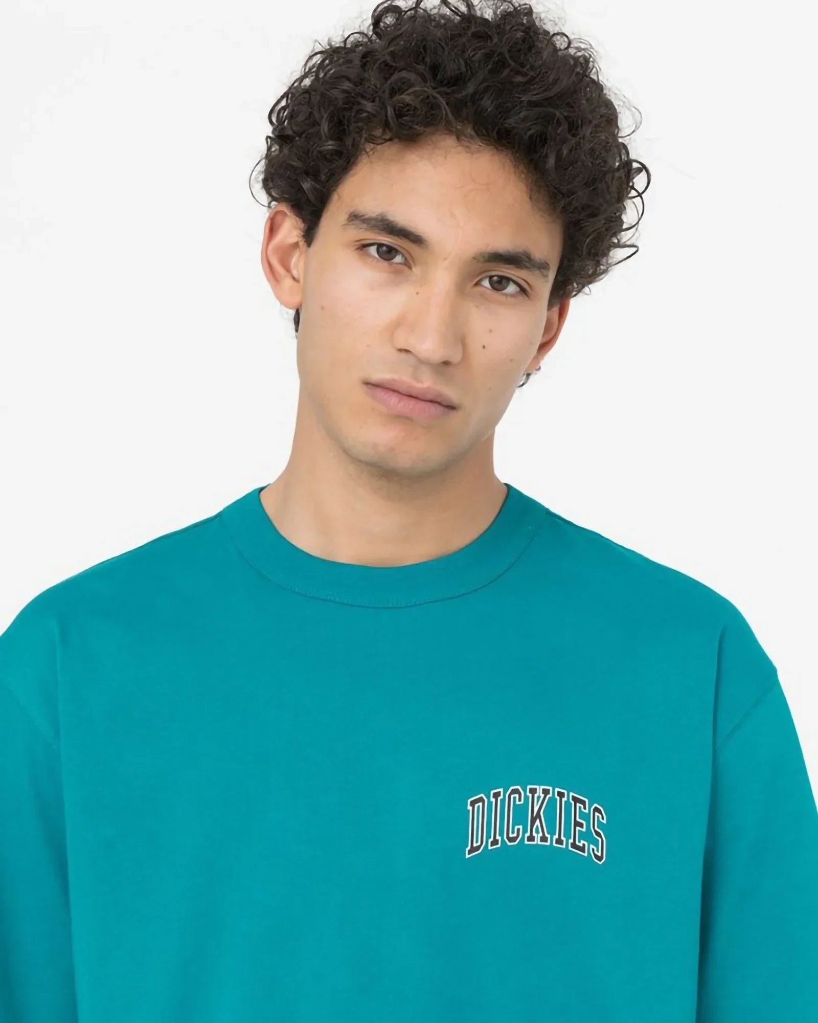 Dickies - Aitkin Chest Print Tee Deep Lake