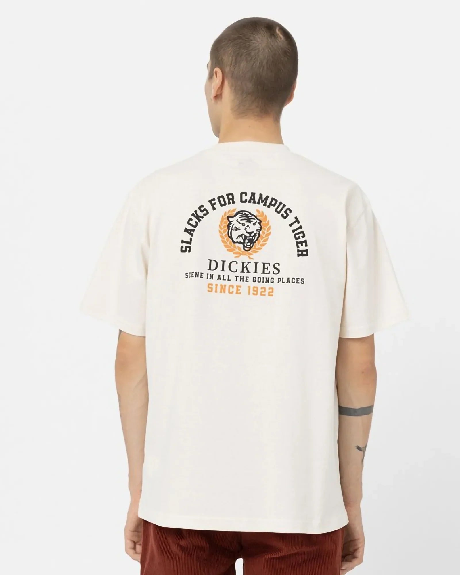 Dickies Westmoreland Tee Cream