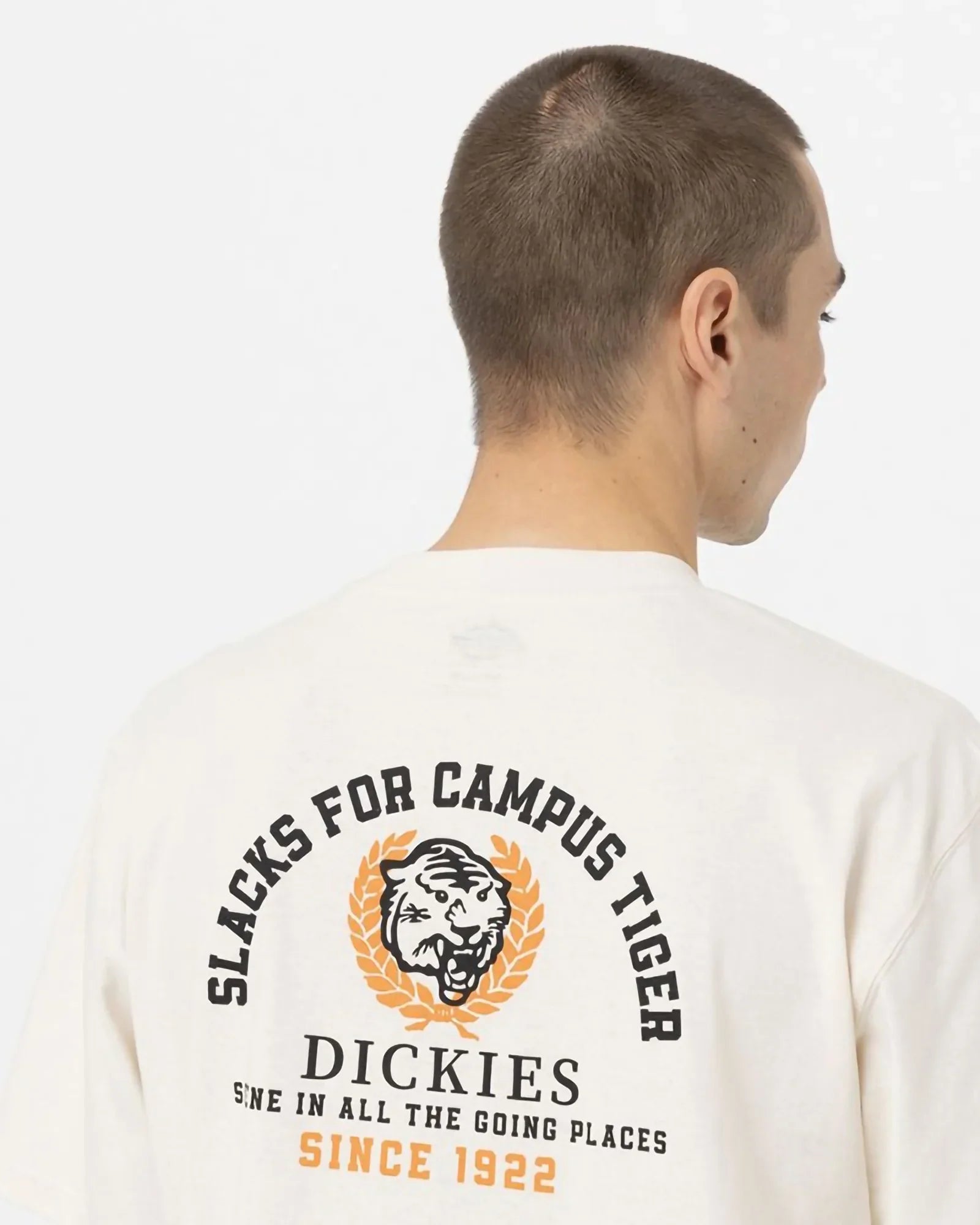 Dickies Westmoreland Tee Cream