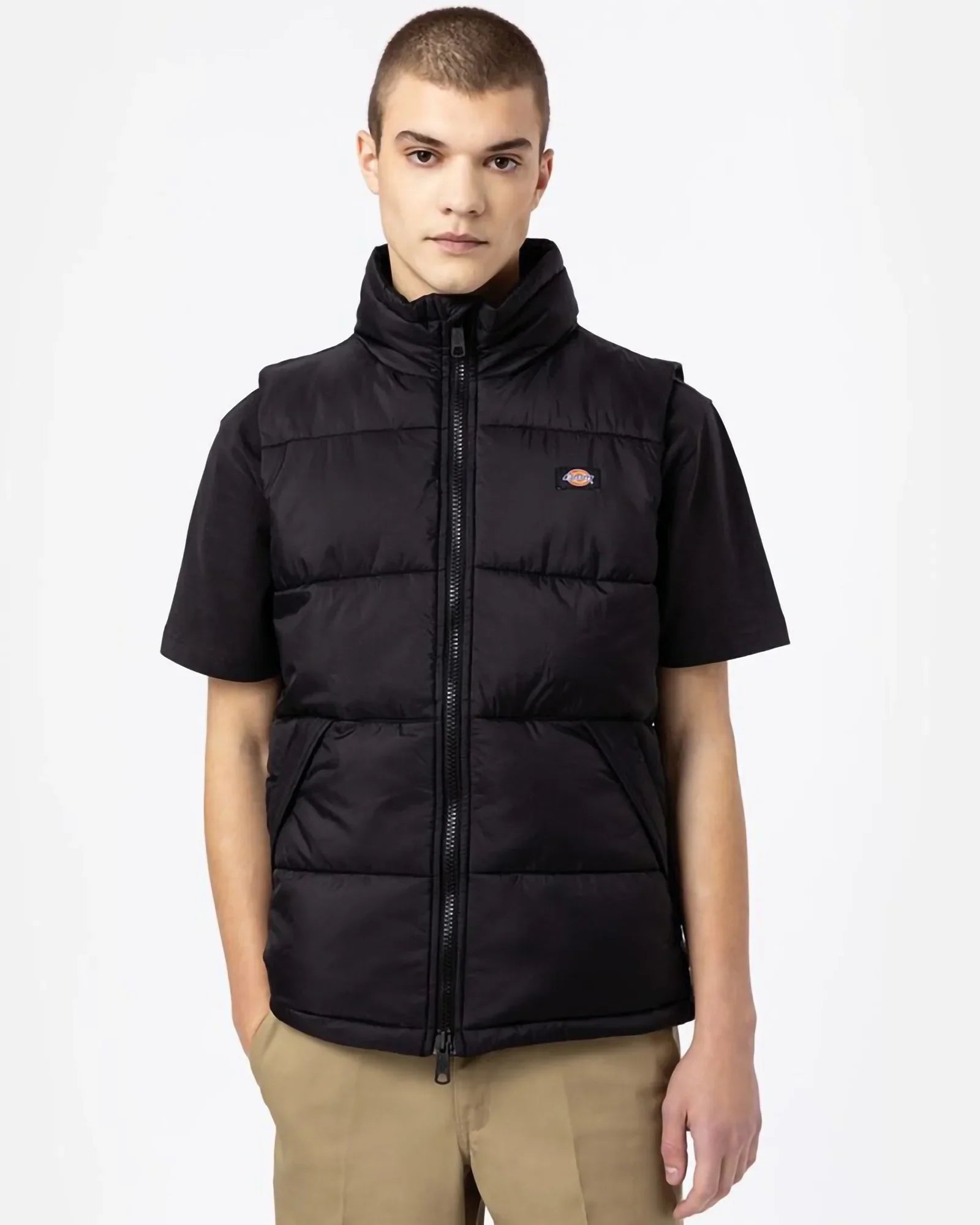 Dickies Waldenburg Vest Black