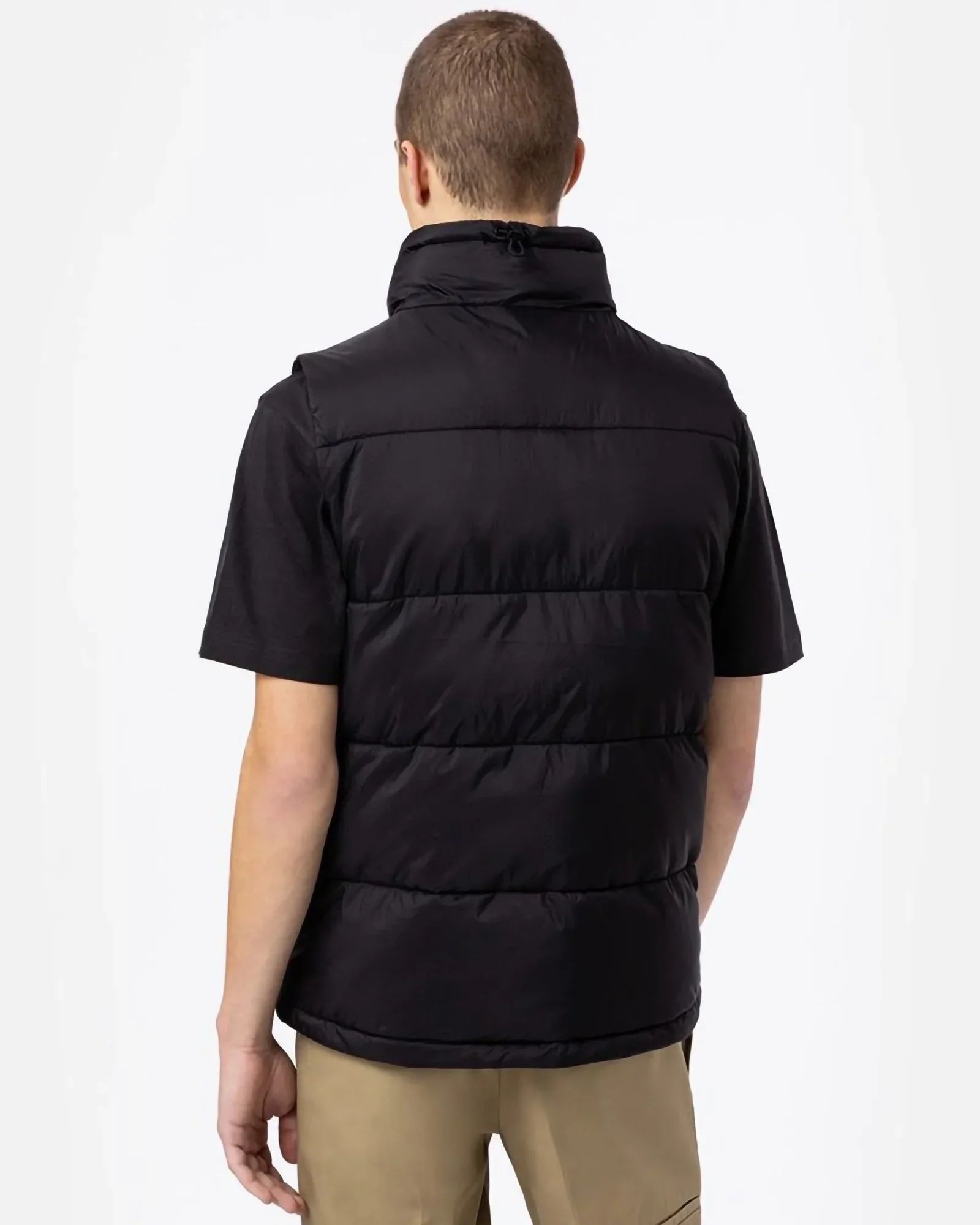 Dickies Waldenburg Vest Black