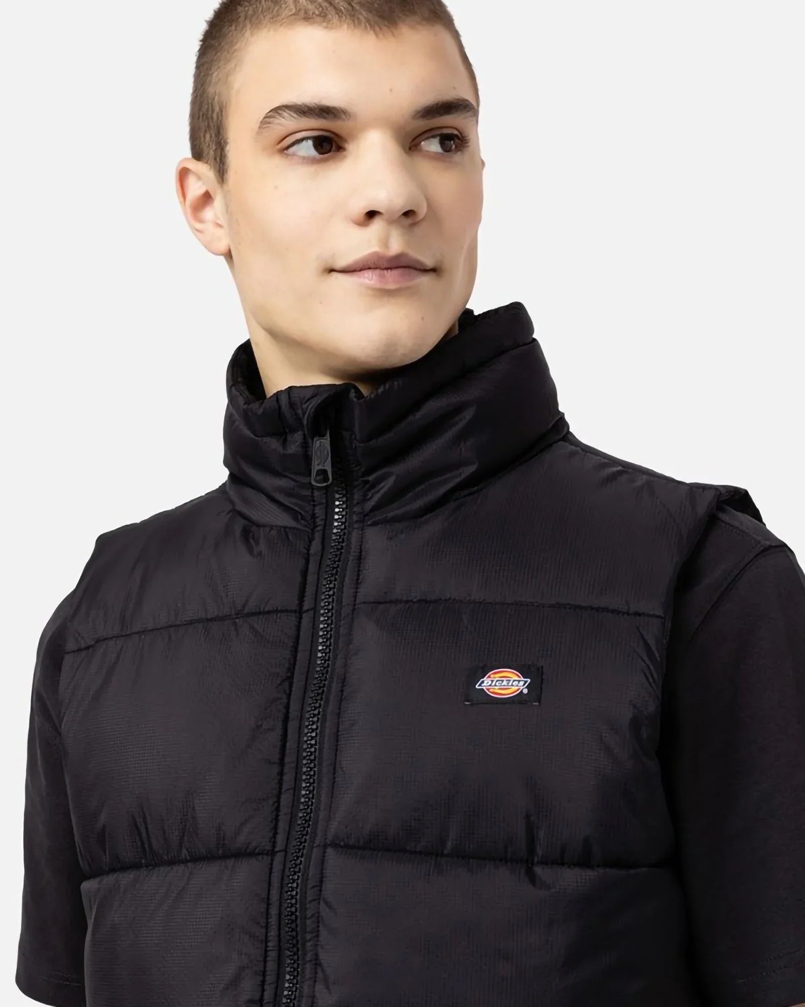 Dickies Waldenburg Vest Black