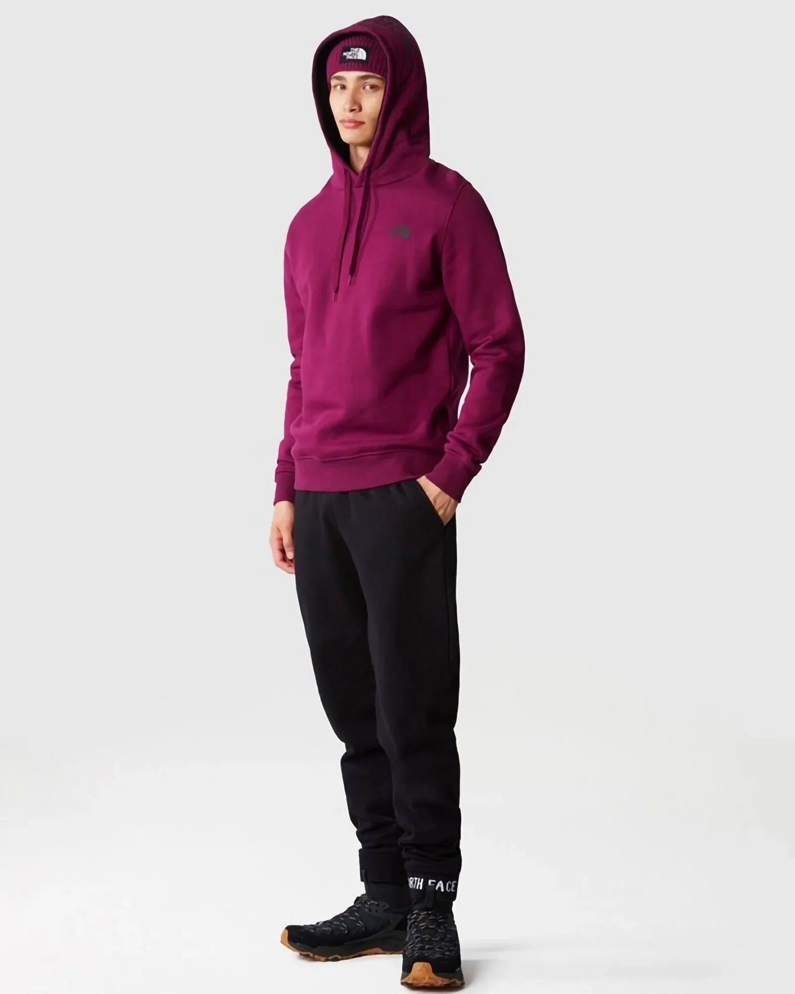 The North Face Seasonal Drew Peak Pullover Boysenberry