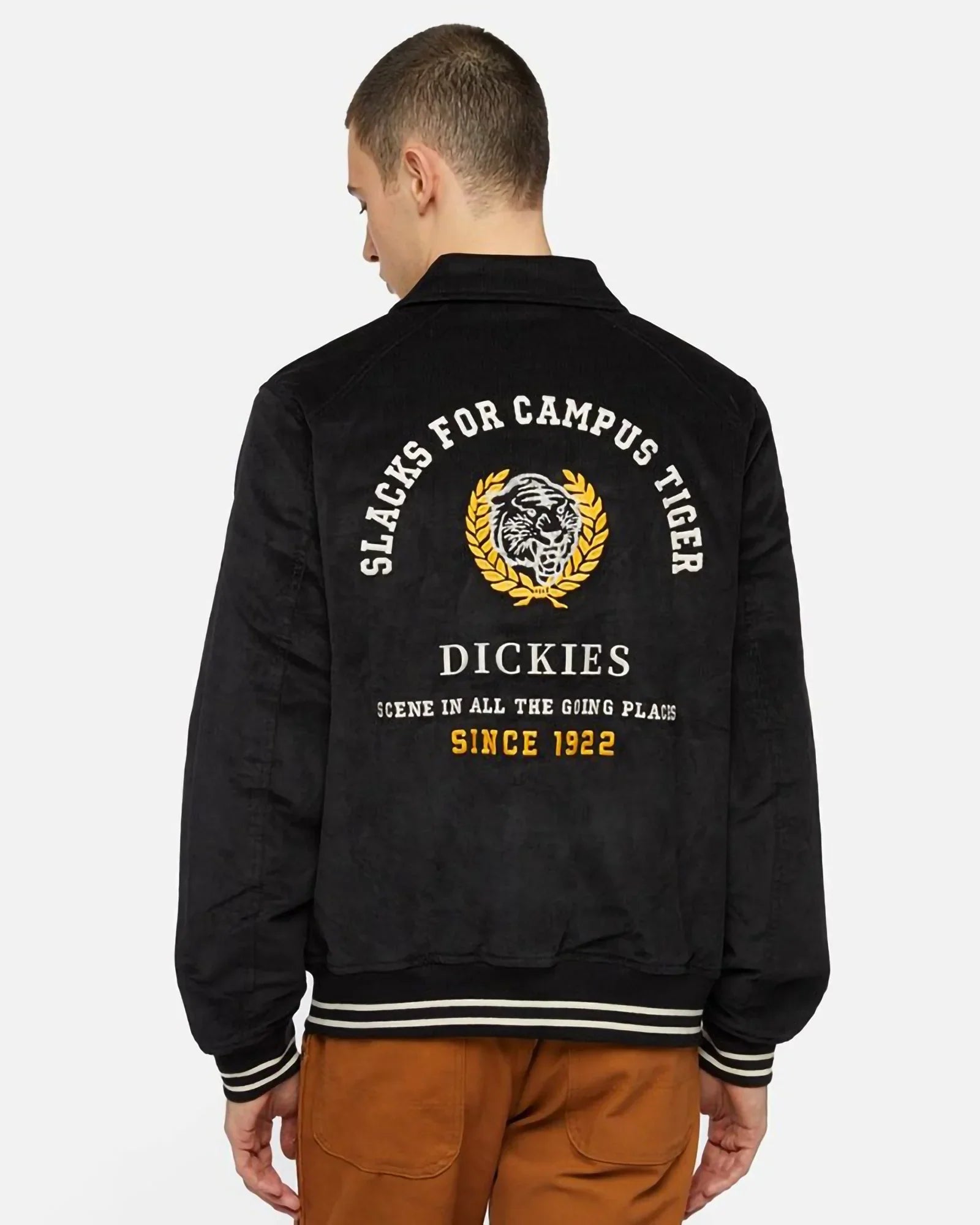 Dickies Westmoreland Jacket Black