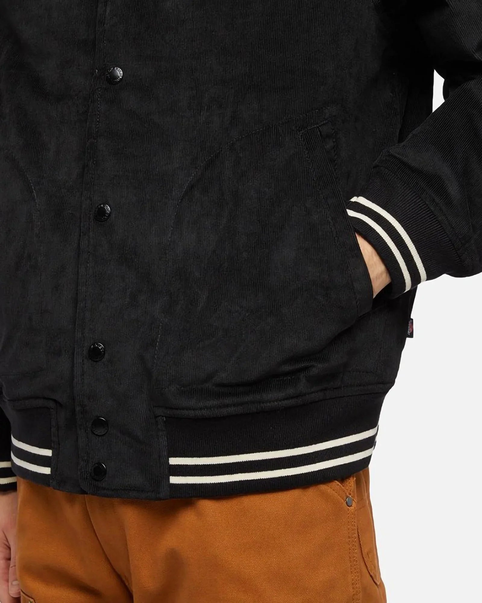 Dickies Westmoreland Jacket Black