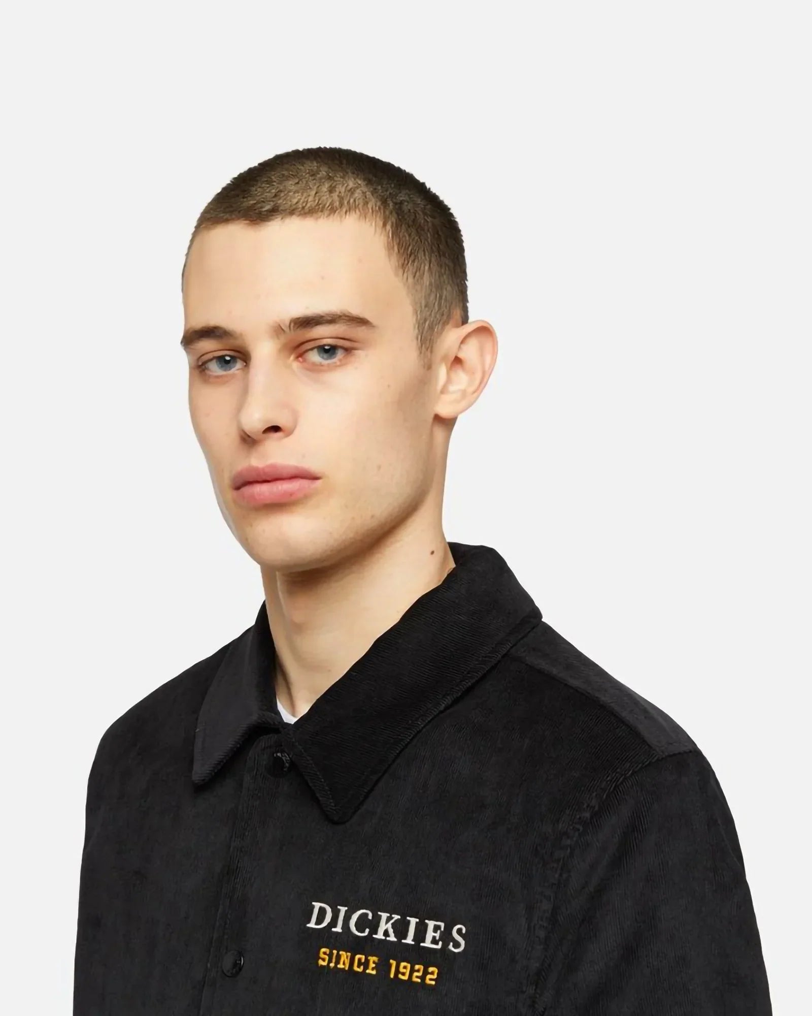 Dickies Westmoreland Jacket Black