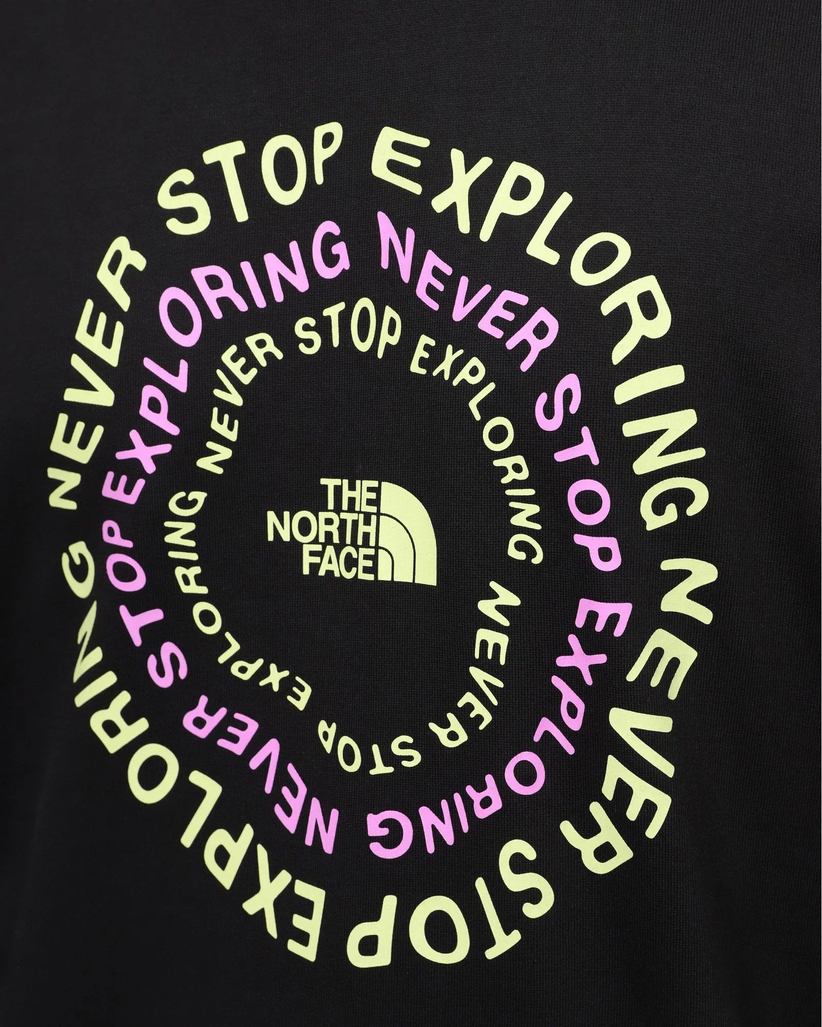 The North Face Nse Graphic Hoodie Black