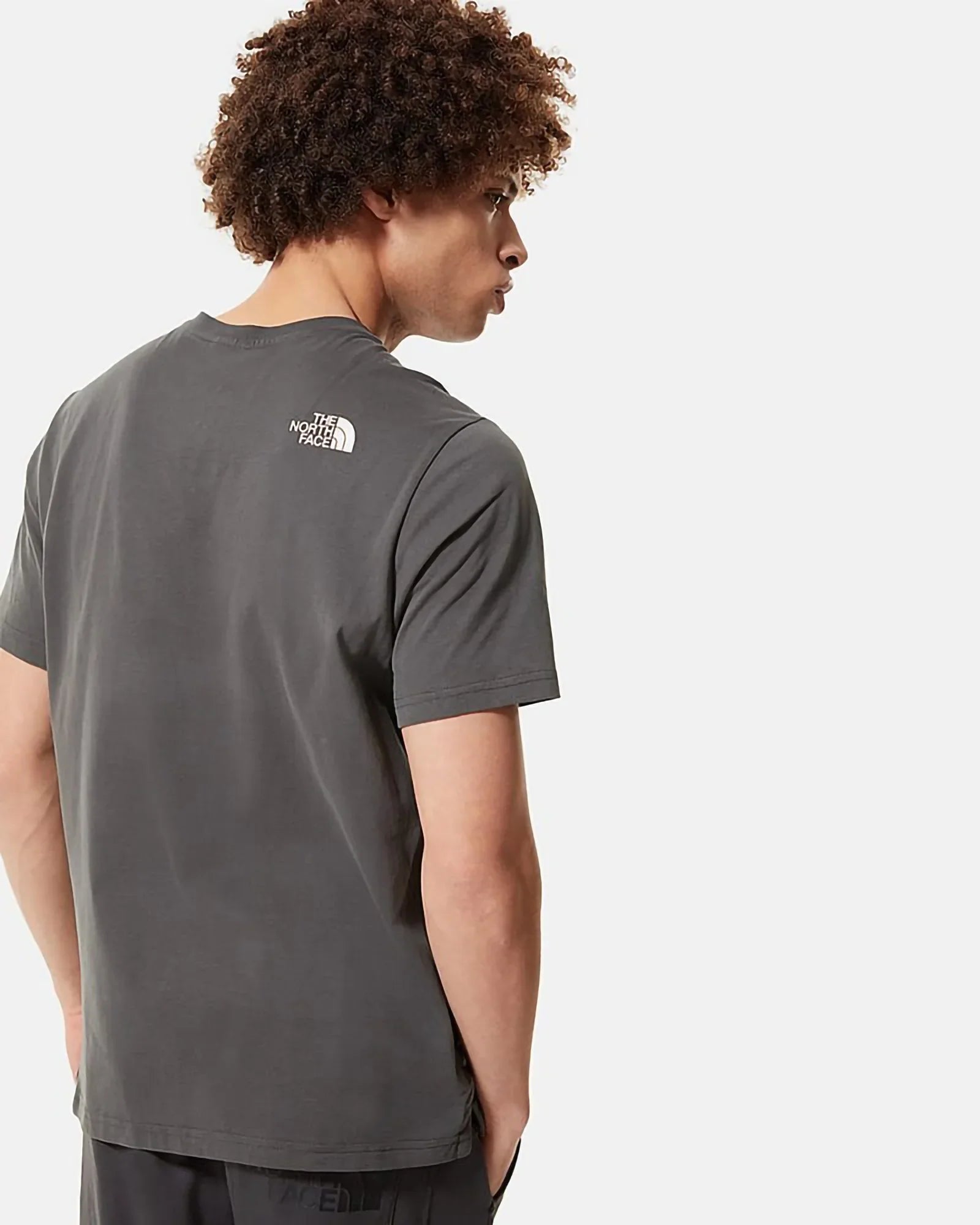 The North Face - Fine Alpine Tee Asphalt Grey