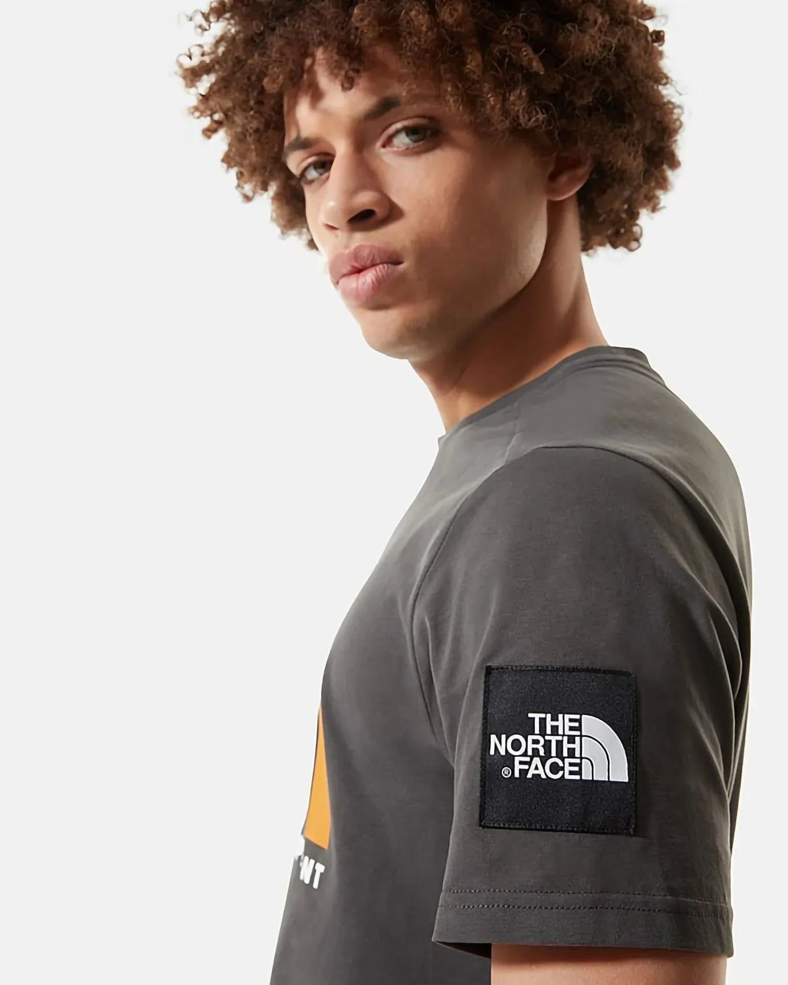 The North Face - Fine Alpine Tee Asphalt Grey