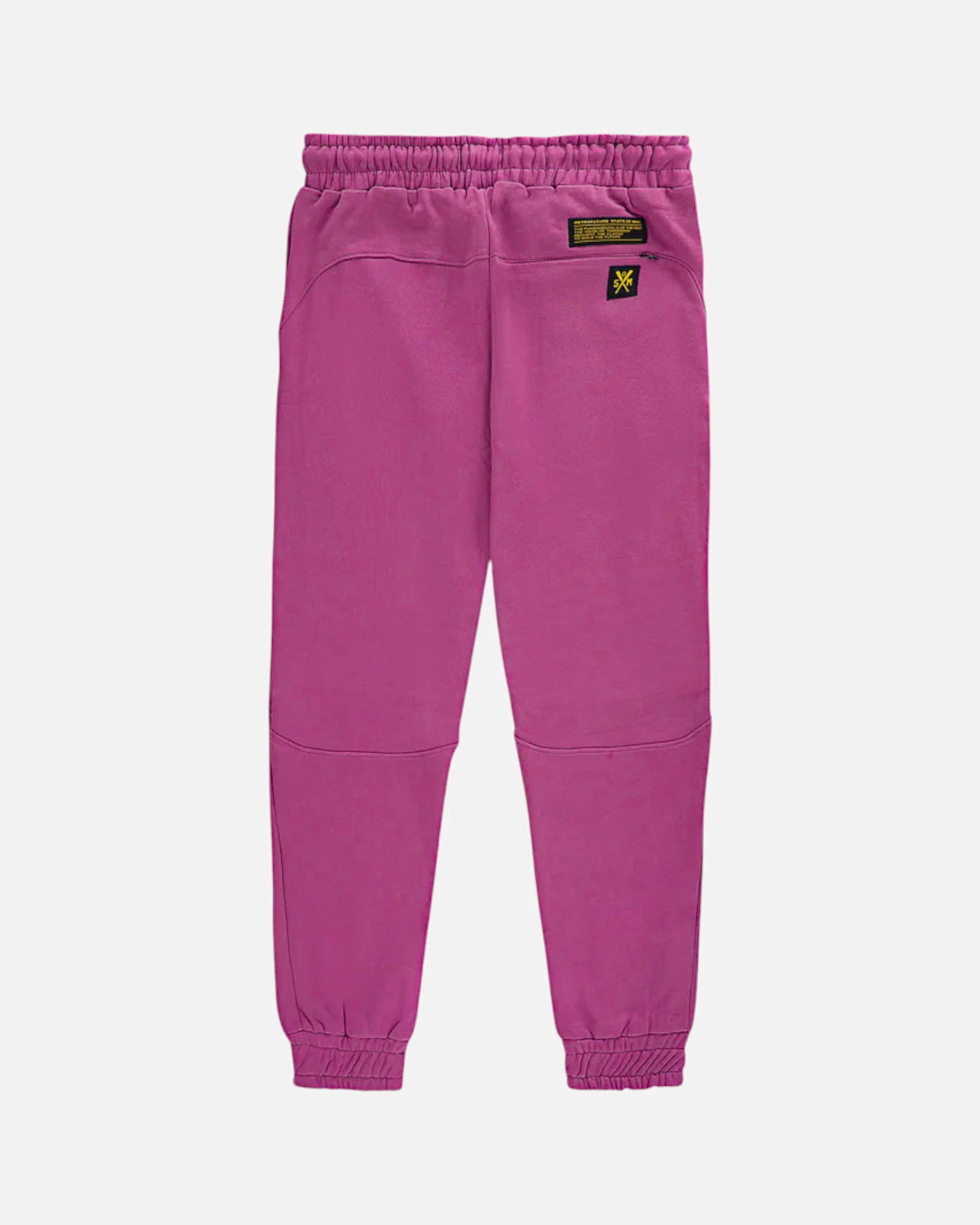 Retrofuture Basic Hooligan Purple Jogger