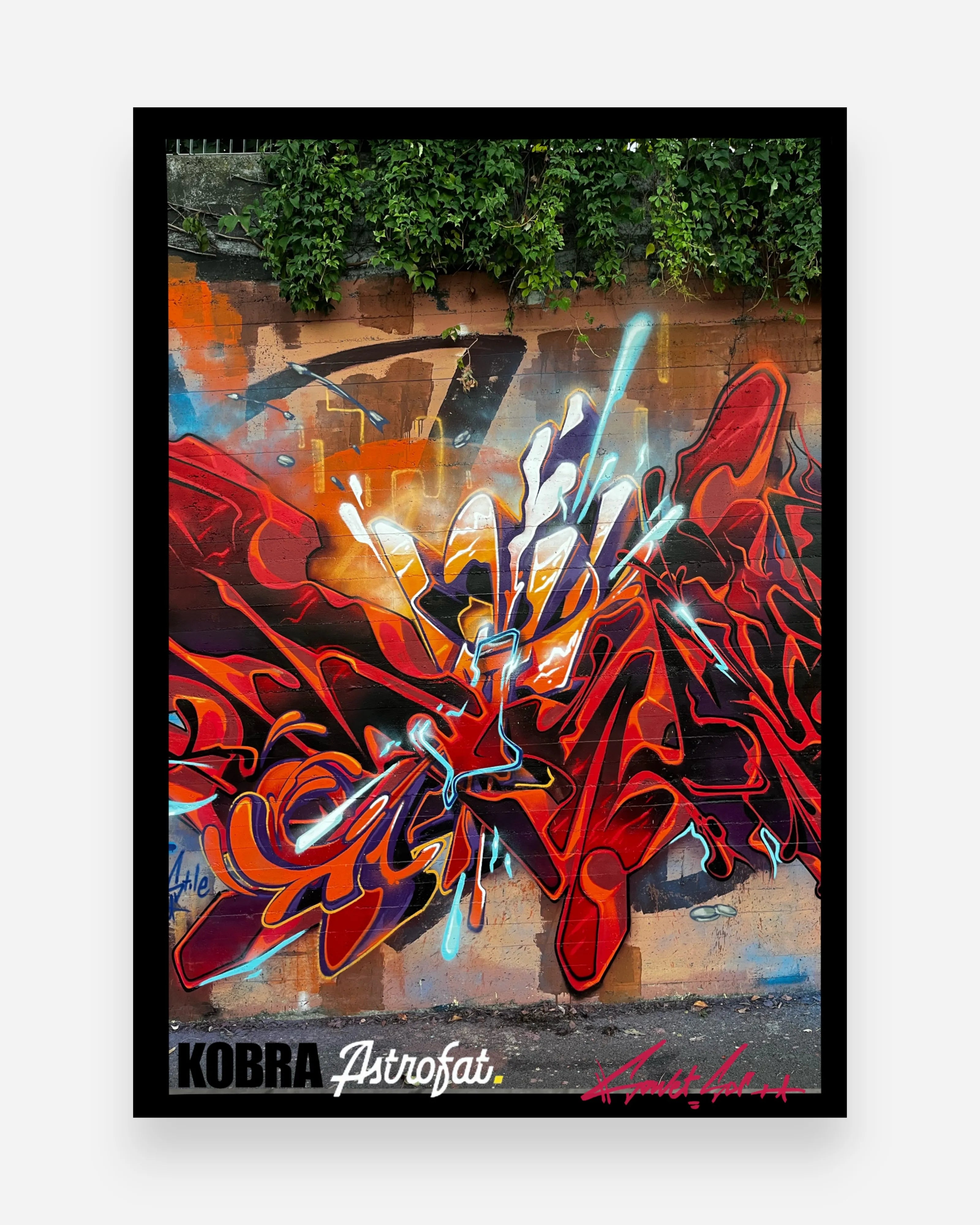 Sowet x Kobra Print