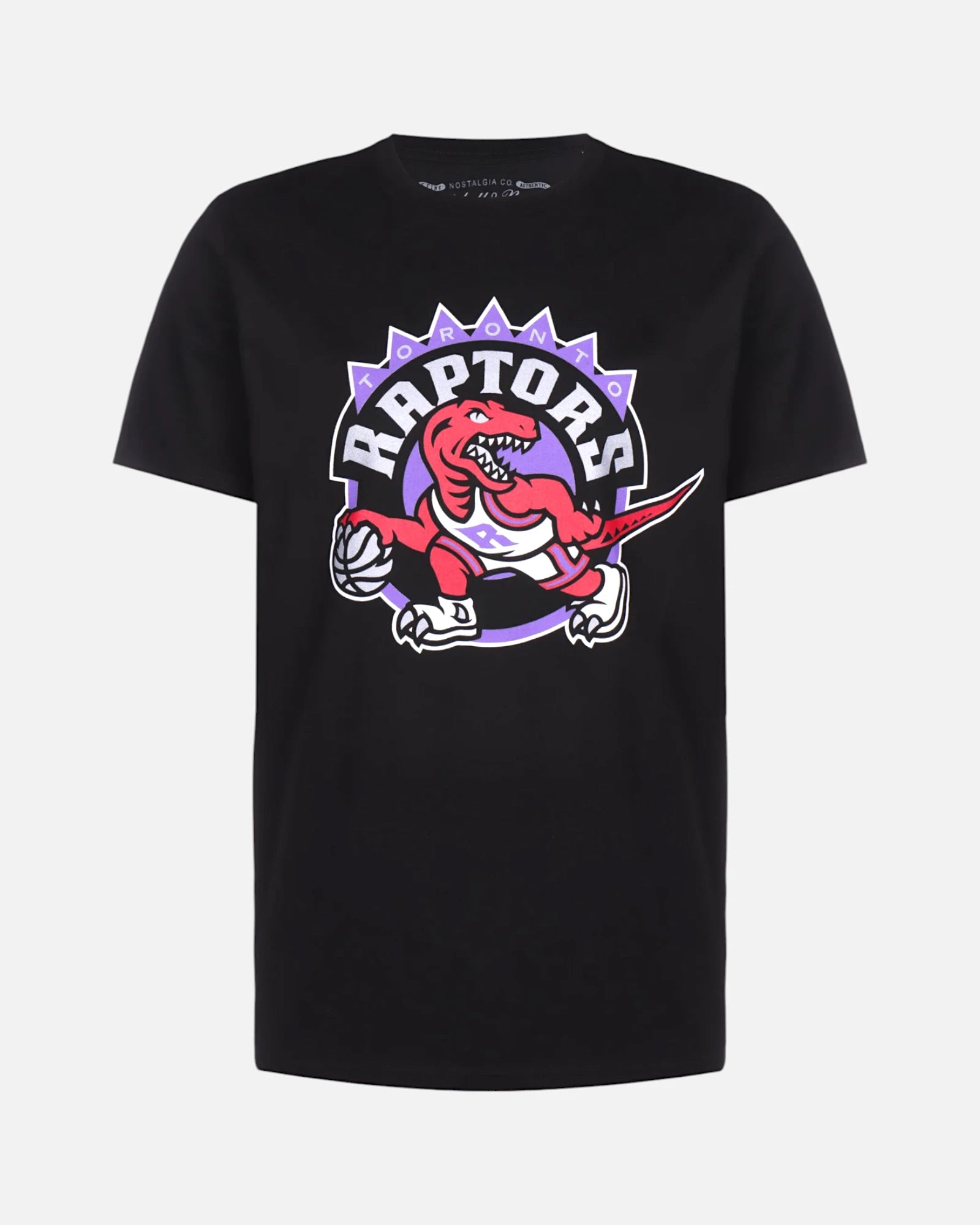 NBA Toronto Raptors Logo Black / Official Color Team