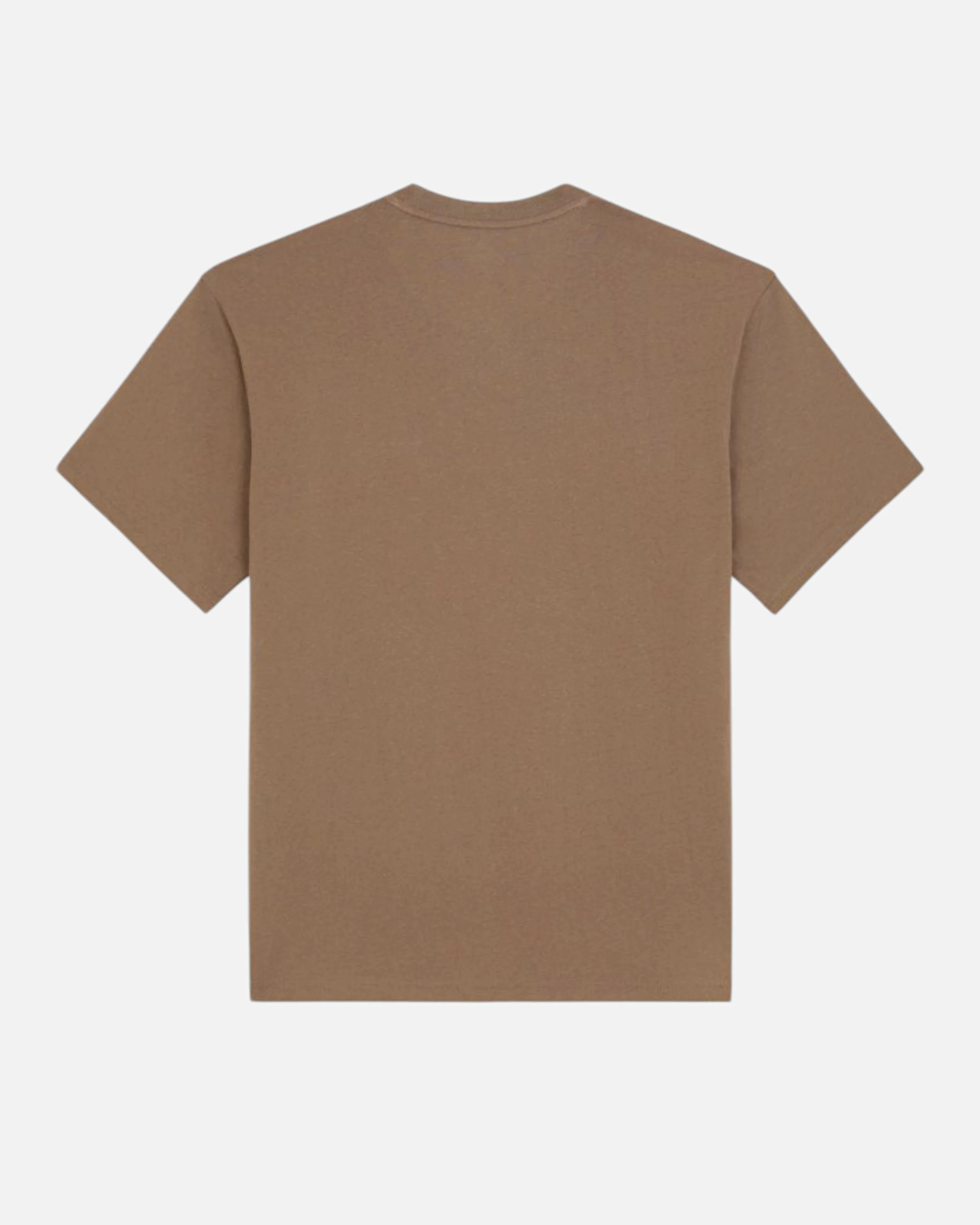 Dickies Clancy Tee Mushroom